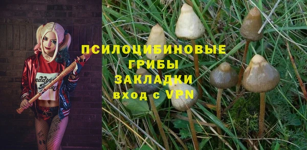 гидропоника Алзамай