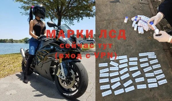 гидропоника Алзамай