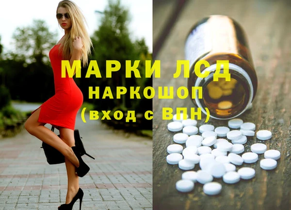 гидропоника Алзамай
