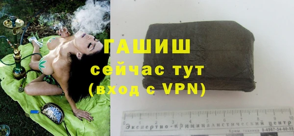гидропоника Алзамай